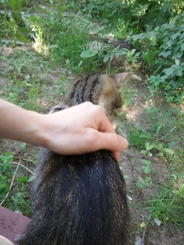 Это необыкновенное чудо нужно срочно забрать домой!