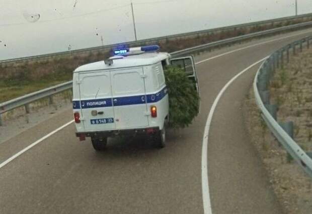 Полицейские приколы