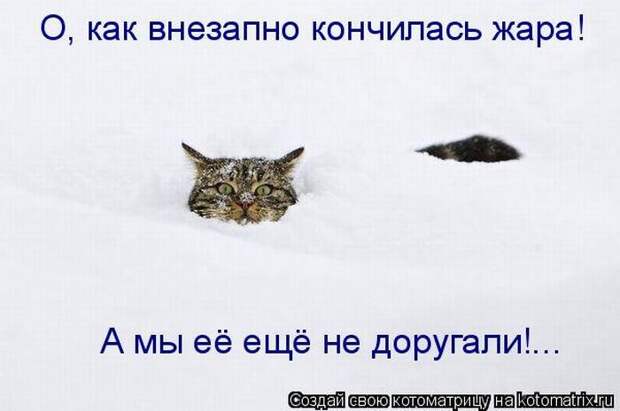 Мысли вслух :)