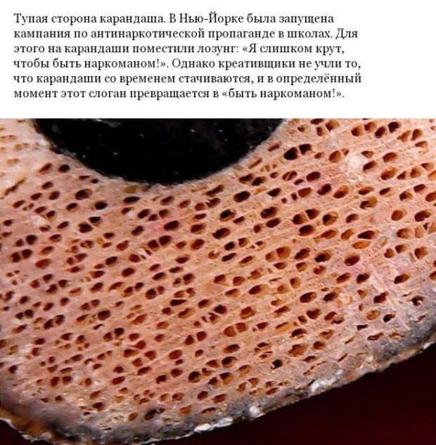 Фото различных предметов под микроскопом