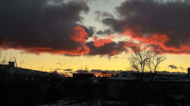 Такой день. Проверка курящего Киркорова и первый зарегистрированный укус клеща в 2026 году