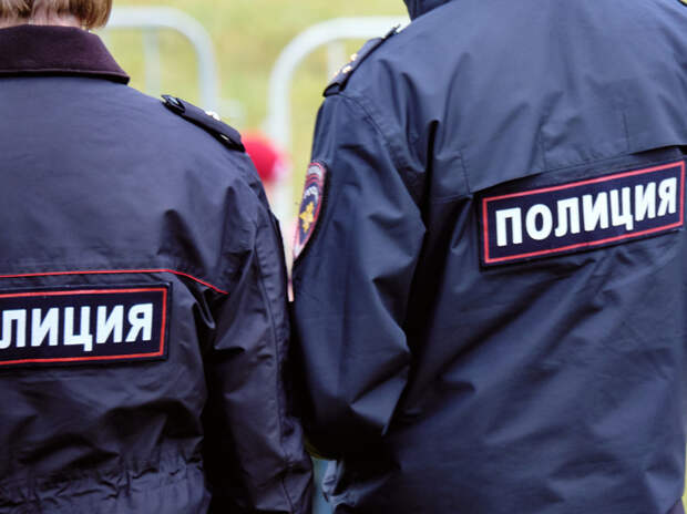 Пропавшая в Ступино школьница найдена мертвой в поле