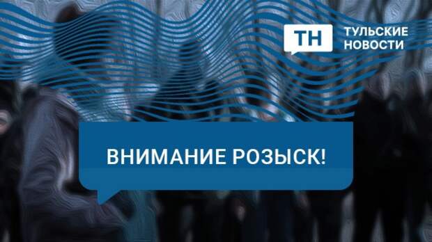 В Тульской области «ЛизаАлерт» ведет поиск Романа Ваулина