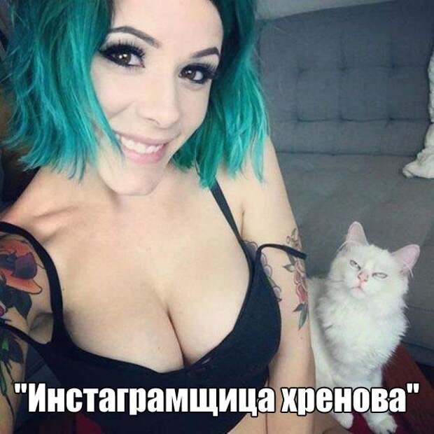 Подборка картинок. Вечерний выпуск (55 фото)