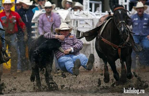 Приколы (55 фото)