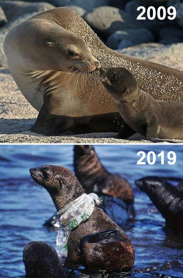 Климатические изменения от экологических организаций в стиле 10YearChallenge