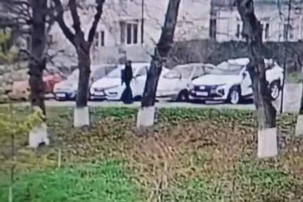 На Кубани мужчина купил серп и исцарапал чужие машины