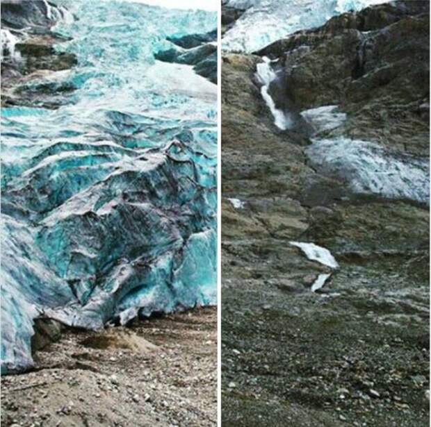 Климатические изменения от экологических организаций в стиле 10YearChallenge