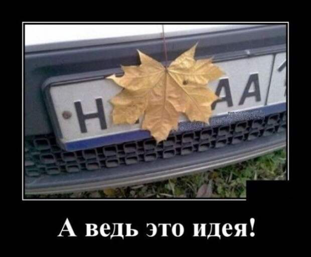 1574546941_330053_1143975.jpg