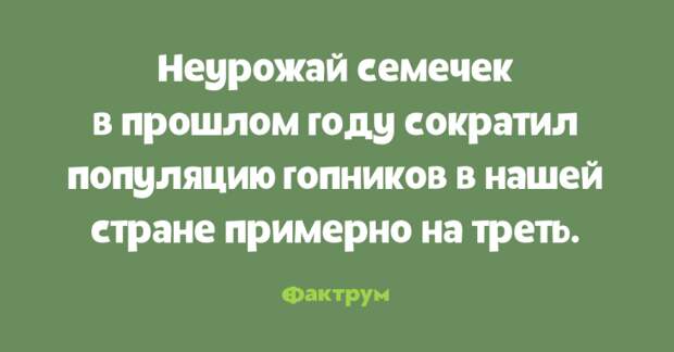 Клёвые анекдоты, которые хочется перечитать ещё раз Клёвые анекдоты, которые хочется перечитать ещё раз