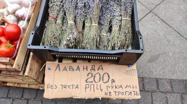14. И смех и грех