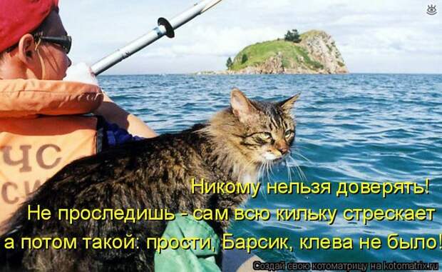 Приколы в котоматрице 17