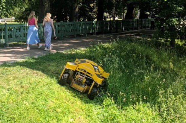 Ермошин объяснил, почему робот‑газонокосилки не подходят для дачных участков