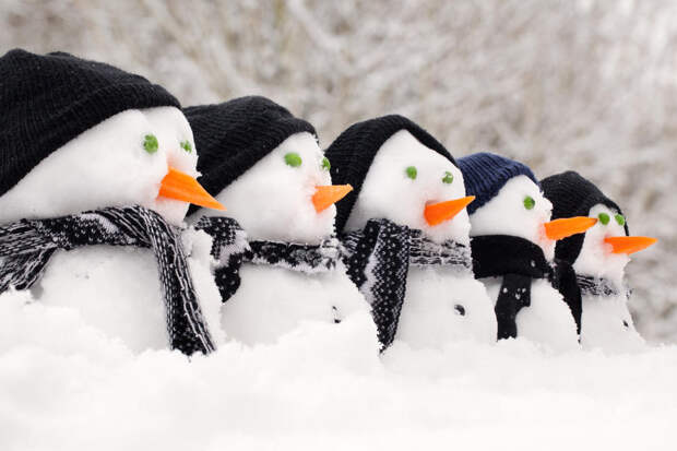 Идеи забавных снеговиков, или Дачный отдых в хорошей компании
