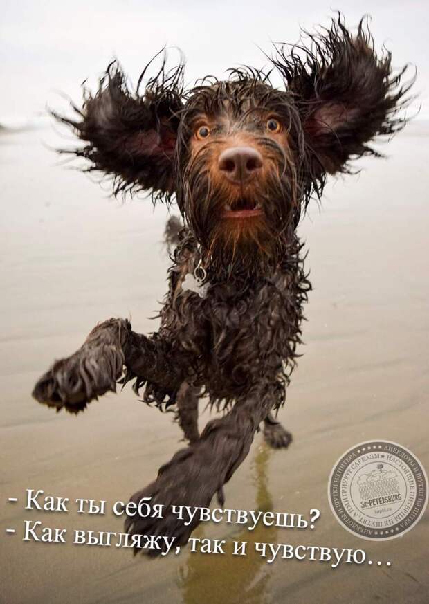 Как выгляжу, так и чувствую