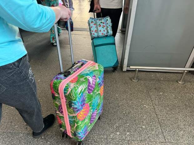 За аналитику для "Турбарометра Санкт-Петербурга" заплатят 16 млн