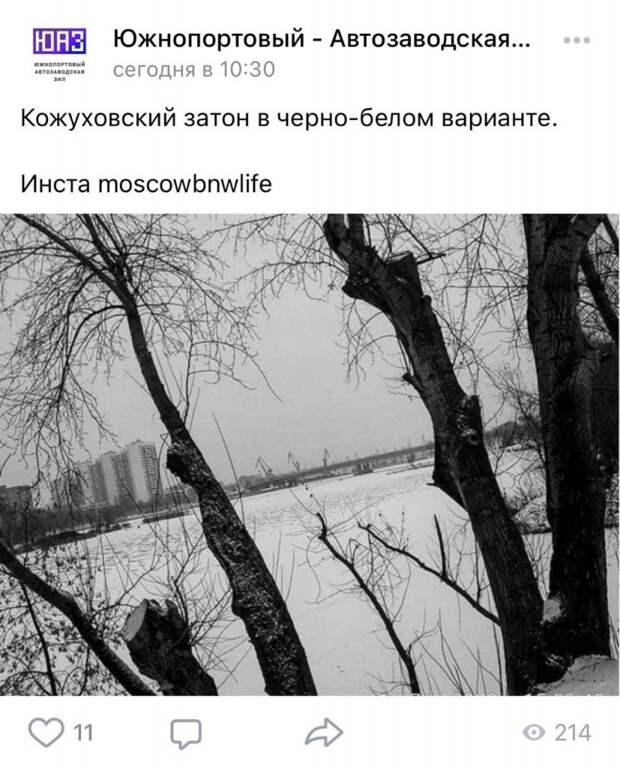 Фото дня: холодный Кожуховский затон