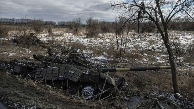 1776954079_0_320_3072_2048_1920x0_80_0_0_dba5c385c4efde1114361279e2cdb5de (700x393, 347Kb)