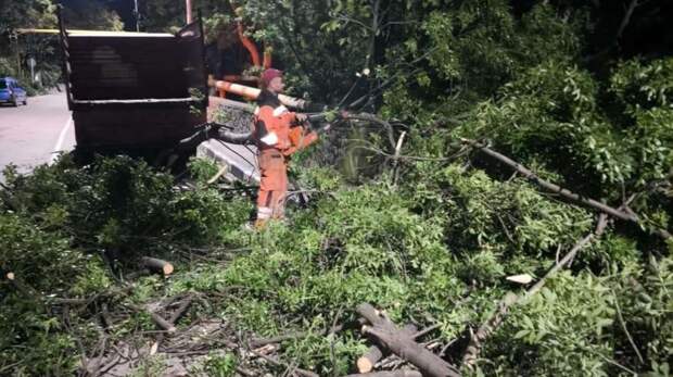 Ураган в Ялте – когда полностью устранят последствия