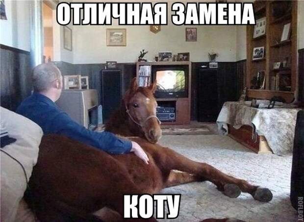 Смешные картинки с надписями прикол, юмор