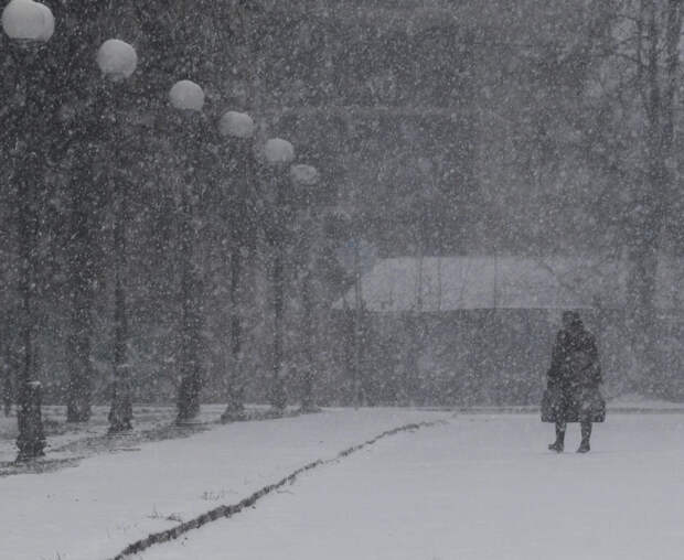 До 28 апреля жителей Подмосковья ждет аномальная арктическая погода