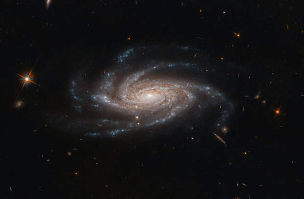 Спиральная галактика NGC 2008