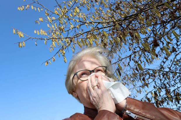 Врач Болибок: похолодание при правильном подходе сильно поможет аллергикам