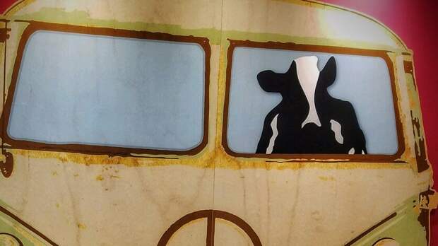 В Ростове увеличили число автобусов, а цены на мясо самые высокие в регионе