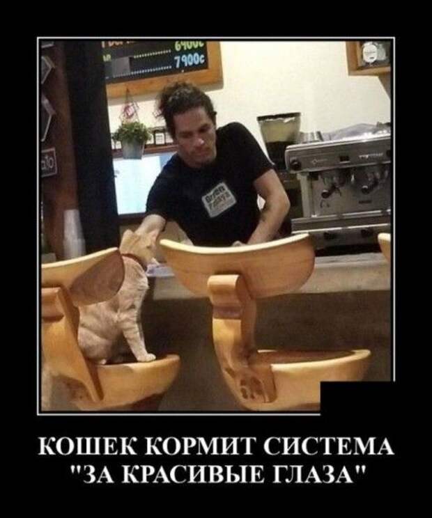 1574546982_330053_1143972.jpg