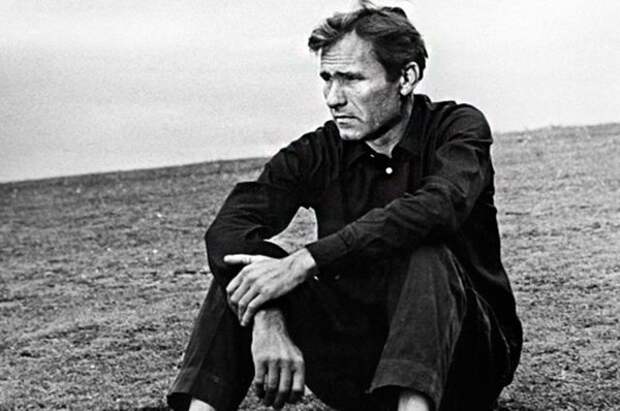 20 цитат Василия Шукшина, с которыми сложно не согласиться 20 цитат Василия Шукшина, с которыми сложно не согласиться