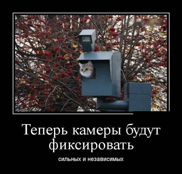 Самые новые демотиваторы (30 фото)