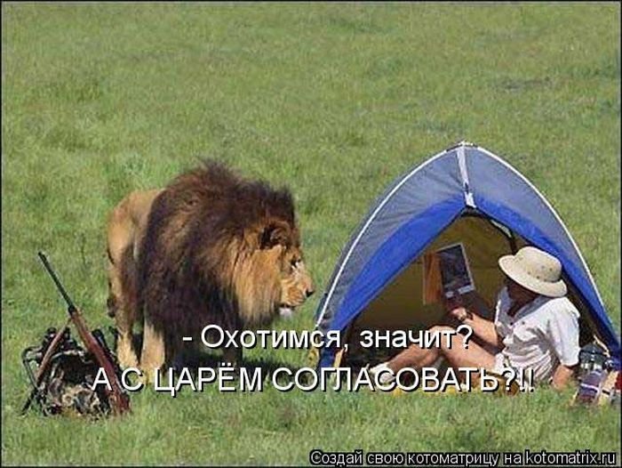 Котоматрицы великолепные, каждая с кусочком позитива и хорошего настроения!!!
