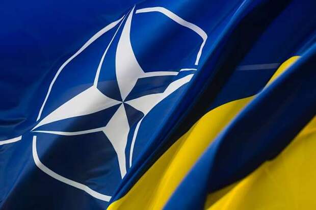 США и Германия не хотят давать Украине чётких обещаний по интеграции в НАТО — Telegraph