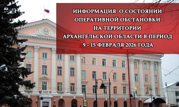 За неделю в Архангельской области зарегистрировано 131 преступление