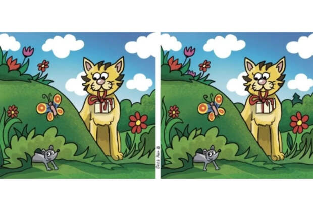 Кот и мышь: найдите 10 отличий за 44 секунды