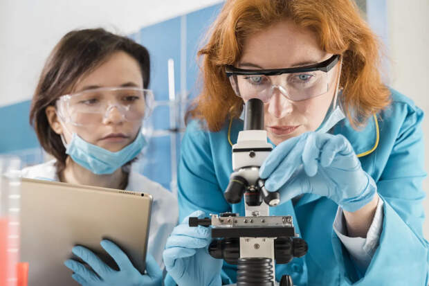 Учёные нашли ранее неизвестный коронавирус у летучих мышей в Африке