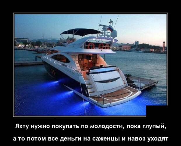 Демотиваторы 1 октября 2021 года