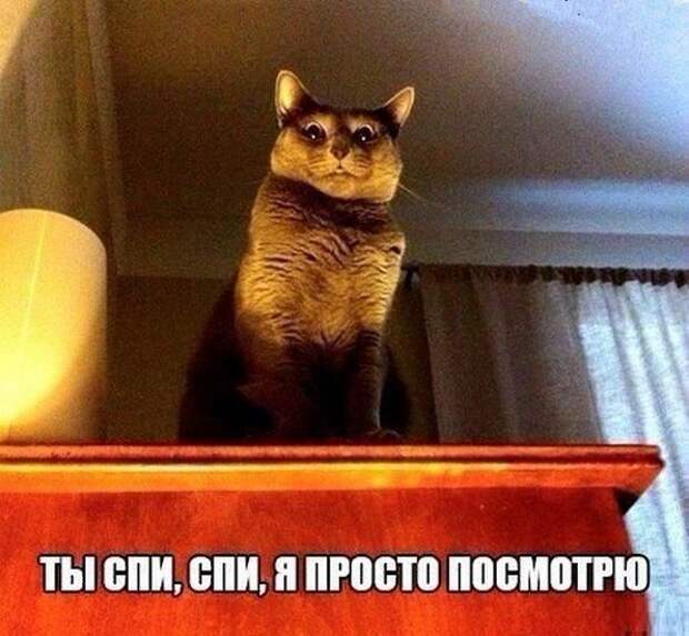 Прикольные картинки абавсём:D (20.10.16)