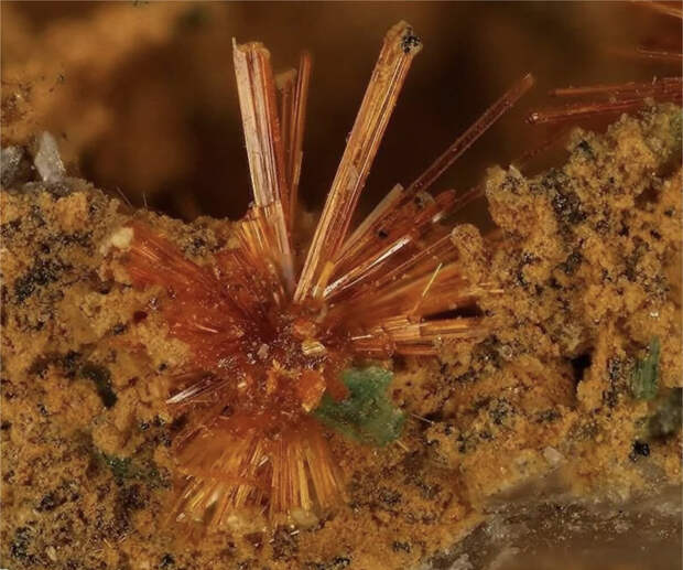 Здесь галерея - листайте. Радиоактивный минерал - кюрит.