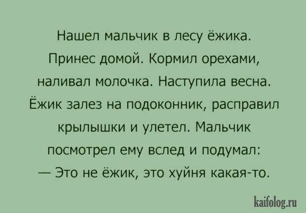 Анекдоты и байки (40 картинок) Анекдоты и байки (40 картинок)