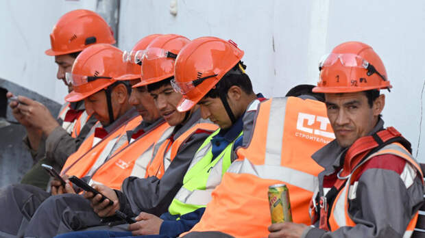 В Госдуме призвали к массовым высылкам мигрантов