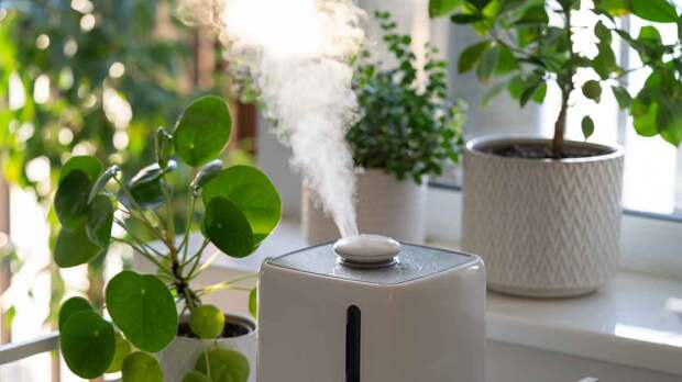 Почему нужно поддерживать необходимую влажность в квартире зимой