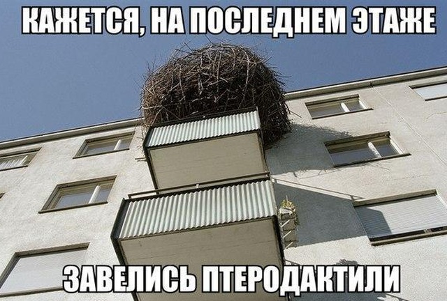 Подборка картинок. Дневной выпуск (20 фото)