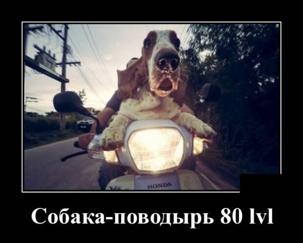 Демотиваторы (30 фото)