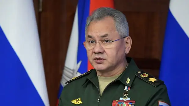 Шойгу: Россия проинформировала иностранных атташе об учениях «Союзная решимость»