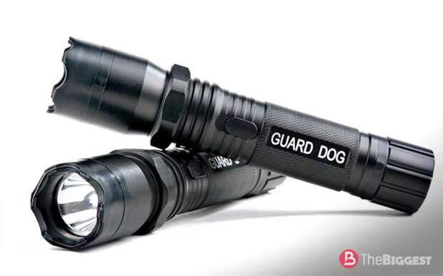 Guard Dog Security Diablo
