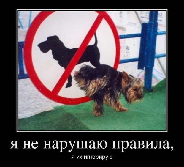 Позитивные и жизненные демотиваторы