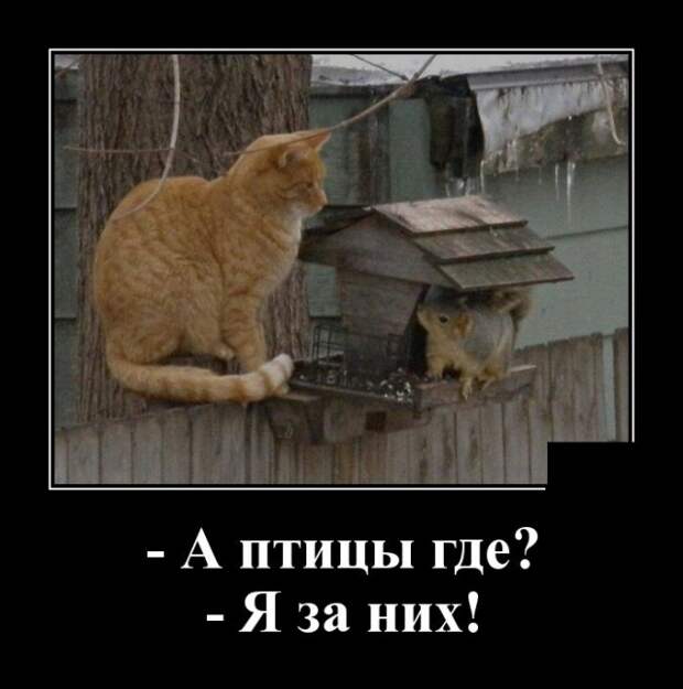 www.vsyako.net