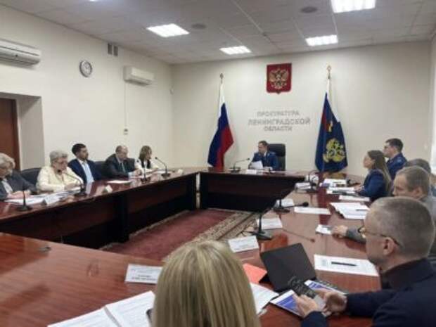 Елена Рулева приняла участие в заседании межведомственной рабочей группы и Общественного совета при прокуратуре Ленинградской области