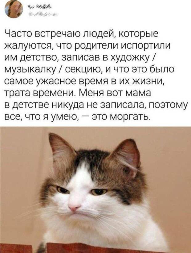 203850_24_trinixy_ru.jpg